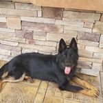 Mike Burgoon - @mikeburgoon3542 - Instagram