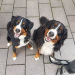 Mike Burkhardt - @miburk76 - Instagram