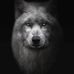 Mike Burroughs - Facebook