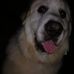 Mike Bushnell - Facebook