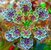 Mike Bushnell - Facebook