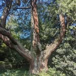 Mike Byars - @ekim.234 - Instagram