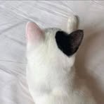 Mike Byun - Facebook