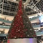 Mike Cabrera - @mikecabrera1 - Instagram