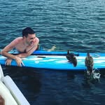 Mike Cafarella - @mike__cafarella - Instagram