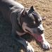 Mike Camp - Facebook
