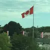 MikeCanada71 - @mikecanada71 - TikTok