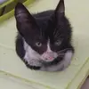 user070175 - @mikecardillo - TikTok