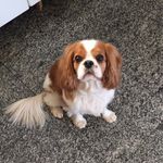 Mike Carmona - @mike_the.king - Instagram