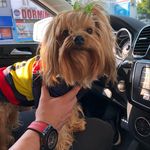 MiKe Carmona - @tacmig1509 - Instagram