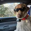 Mike Carney - @mike.carney90 - TikTok