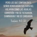 Mike Morales Carreon - @mikemoralescarreon - Instagram