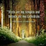 Mike Carty - @cartym666 - Instagram