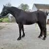 mikecarty43 - @mikecarty43 - TikTok