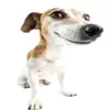 mikecartyboss - @antohagarmoha - TikTok