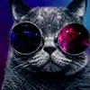 mike._.cascio - @mike._.cascio - TikTok