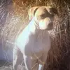 Mike Cassano - @user52721964723737 - TikTok