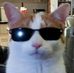 Mike Castro - Facebook