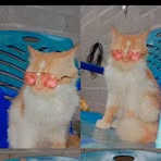 Miky Catt - Facebook
