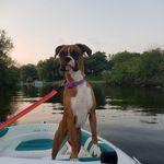 Mike Cebula - @cebula.mike - Instagram