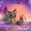 Mike Cebula - @mikecebula - TikTok