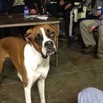 Mike Chapin - @mike_chapin - Instagram