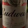maddog - @mikechartrand698 - TikTok