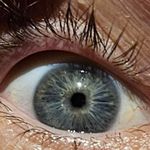 Mike Chartrand - @mike.chartrand.5437 - Instagram