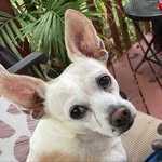 Mike Chesser - @chessermike - Instagram