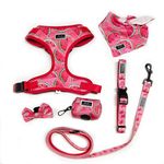 Dongguan Huasong Pet Accessories Manufacturer in China - @mikechou28 - Instagram
