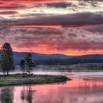 Mike Chou - @mikechou_2000 - Instagram