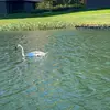 Mike chou - @mike.chou7 - TikTok