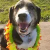 Mike Christopher - @mike.christopher574 - TikTok