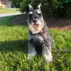 Mike Christopher - @mgaming123542 - TikTok