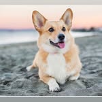 Mikey246 - @mikec.hristopher - Instagram