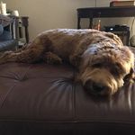 Mike Cipriano - @mcipcrypto - Instagram