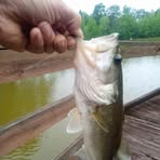 Mike Clardy - Facebook