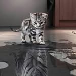 Mike Claypool - @claypool_m_ - Instagram