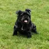 Mike Coates - @mike.coates8 - TikTok