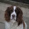 mike coats - @mikecoats18 - TikTok