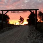 Mike Coats - @mike.coats.52438 - Instagram