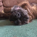 Mike N Eryka Coats - @mike_n_eryka - Instagram