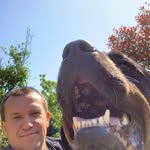 Mike Coe - @mikecoe237 - Instagram