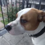 Mike Colburn - @mikecolburn0816 - Instagram
