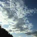 Mike Colleran - @mblake_colleran - Instagram