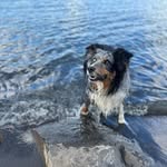 Mike Colvin - @mikecolv1969 - Instagram