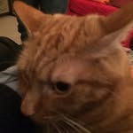 Mike Comber - @mike.comber.39 - Instagram