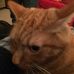 Mike Comber - Facebook