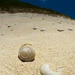 @mike.condon - Instagram