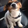 mikecondon636 - @mikecondon636 - TikTok
